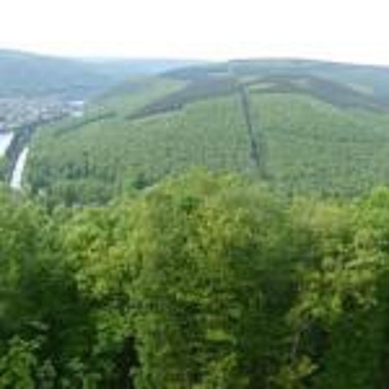 Gite Du Coucou Hargnies Esterno foto